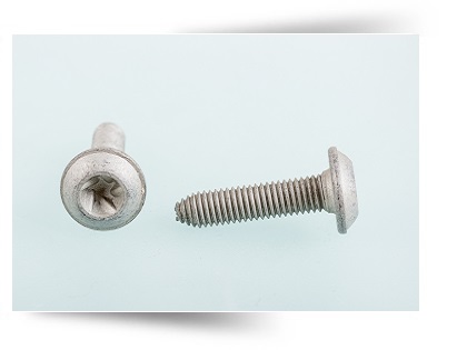 not argus,not clutch head,not sentinal,permanent,non removable,tamperproof,vandal proof, tamper proof,security screw , not shear bolt, not shear screw.